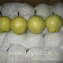 Qualidade padrão exportada Fresh Early Su Pear